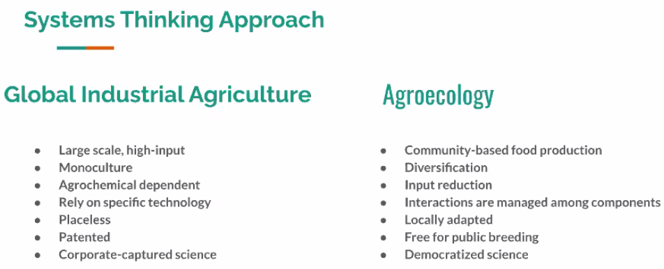 Mavic Conde diferencia a agricultura industrial global e a agroecologia