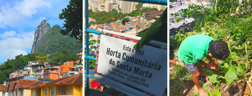 O projeto Colhendo o Futuro revitaliza antigos lixões na comunidade do Santa Marta, em Botafogo, transformando esses locais em hortas comunitárias urbanas.