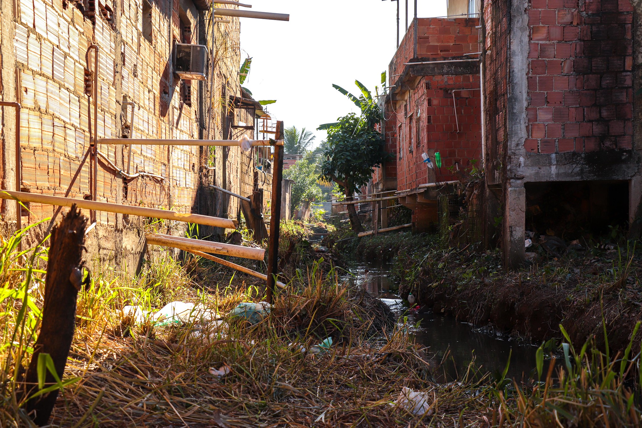 Casas do Engenho que dão para o canal de esgoto a céu aberto da comunidade. Foto: Alexandre Cerqueira