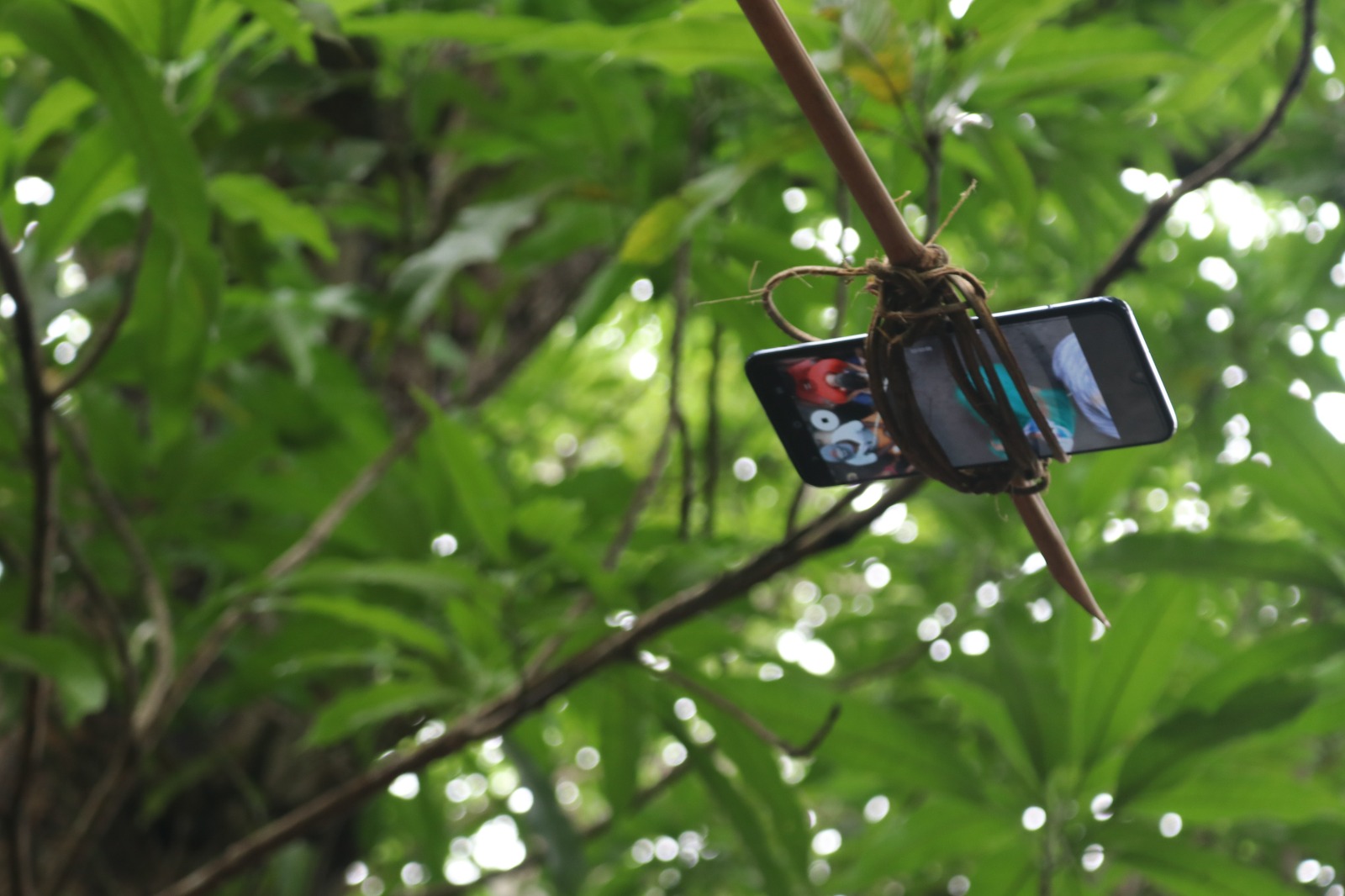 O bambu-drone tem um smartphone amarrado na ponta de um bambu curvo, que faz imagens de cima, assim como um drone. Foto: TV Quilombo