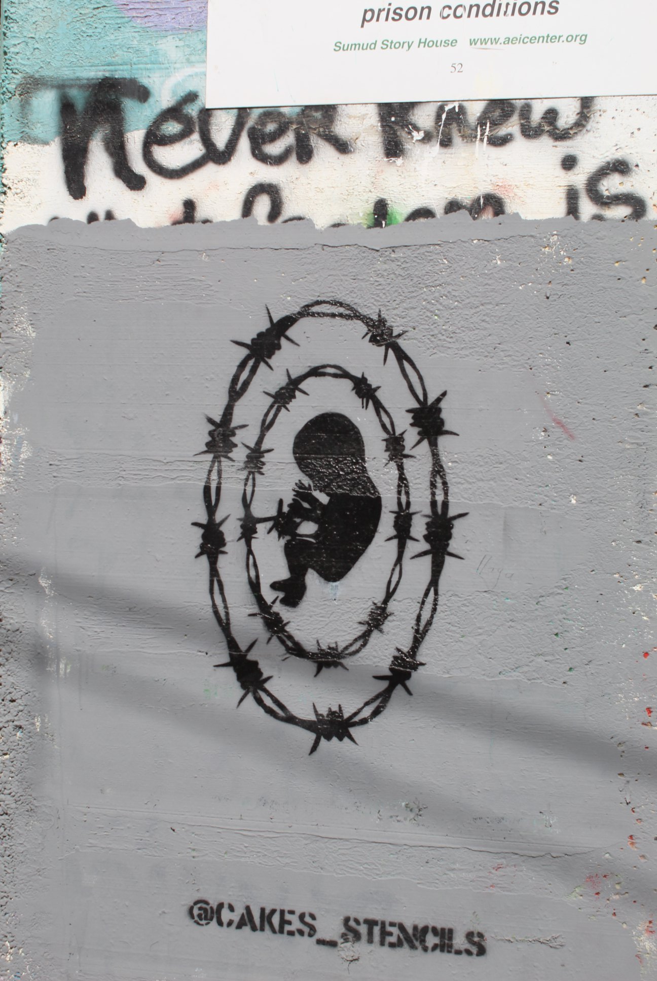 Gizele Martins se pergunta: "Qual infância essas pessoas têm?". Grafite de um bebê sendo gestado em arame farpado, no Muro de Separação de Israel na Palestina, em Belém. Foto: Julio Santos Filho/EAPPI