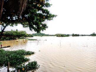 Trecho da Lagoa do Quiabal, na Área de Proteção Ambiental do Guandu. Foto: Fabio Leon