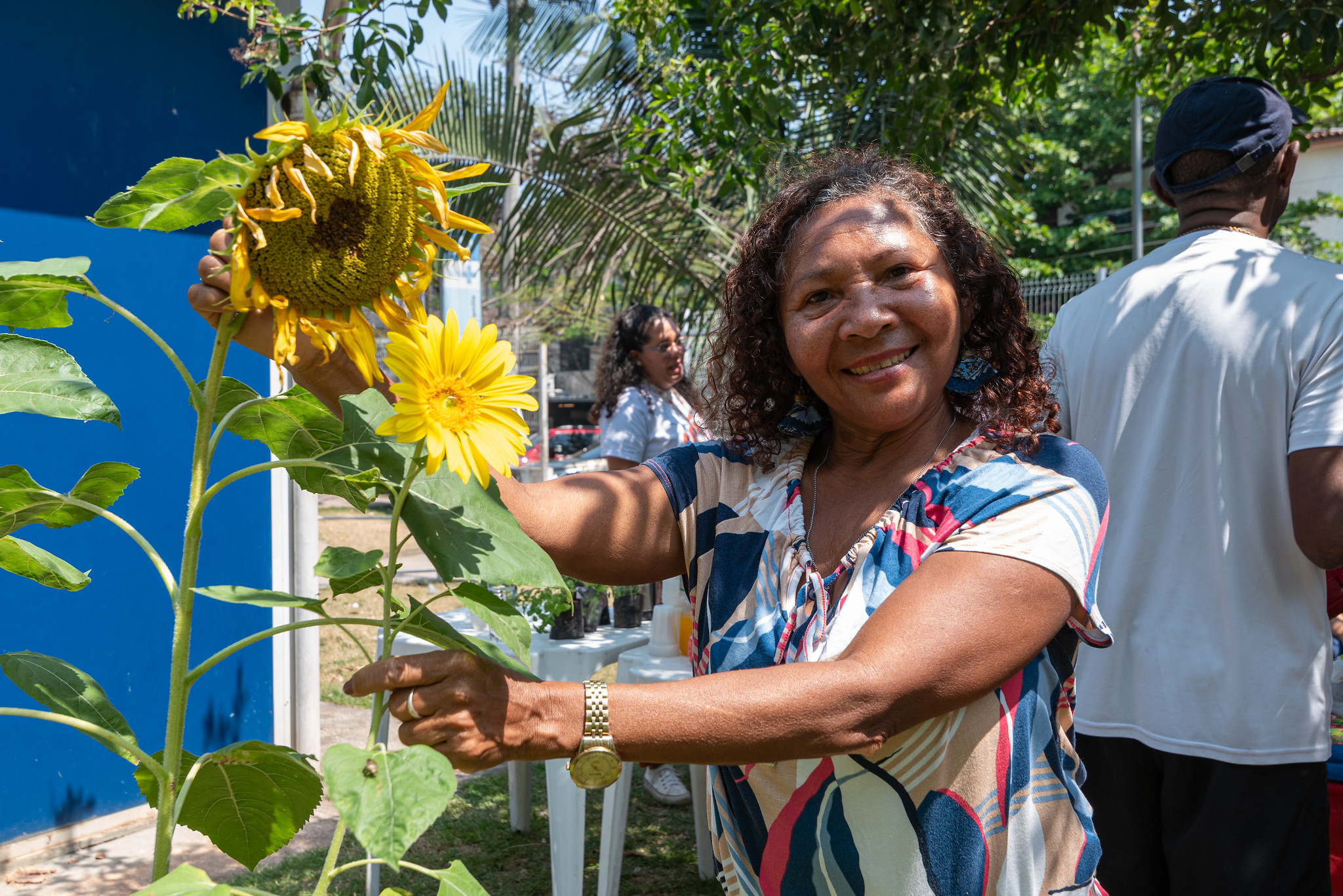 Dona Lu mostra o girassol plantado na horta comunitária. A horta se tornou um local de pausa no dia a dia e um espaço de cura. Foto: Bárbara Dias Dona Lu mostra o girassol plantado na horta comunitária. A horta se tornou um local de pausa no dia a dia e um espaço de cura. Foto: Bárbara Dias