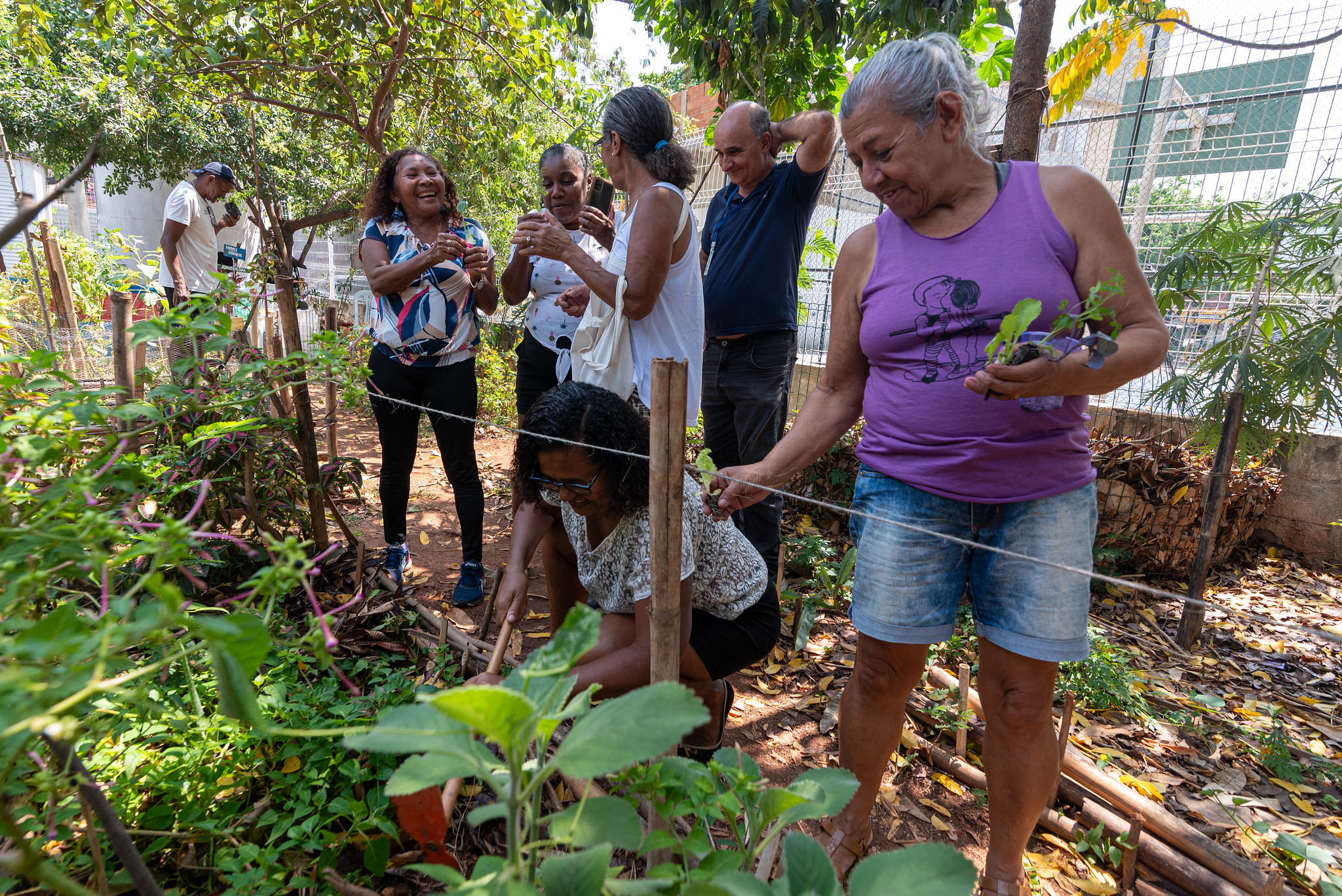Mutirão de plantio de alface, couve e arruda no espaço verde da horta comunitária. Moradoras do Parque Arará participam de vivências que proporcionam bem-estar e fortalecimento dos laços comunitários. Foto: Bárbara Dias Mutirão de plantio de alface, couve e arruda no espaço verde da horta comunitária. Moradoras do Parque Arará participam de vivências que proporcionam bem-estar e fortalecimento dos laços comunitários. Foto: Bárbara Dias