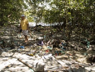 O pescador Hélio Ricardo em uma das poucas áreas de mangue que sobrevivem no Complexo da Maré apesar da degradação ambiental. Foto: Amanda Baroni