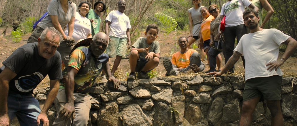 Além de promover a troca de conhecimentos entre moradores, lideranças e voluntários, o mutirão do Tempo de Plantar tem por objetivo assegurar a efetiva recuperação ambiental dos territórios. Foto: Amanda Baroni