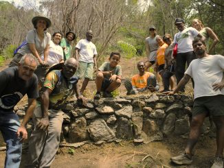 Além de promover a troca de conhecimentos entre moradores, lideranças e voluntários, o mutirão do Tempo de Plantar tem por objetivo assegurar a efetiva recuperação ambiental dos territórios. Foto: Amanda Baroni
