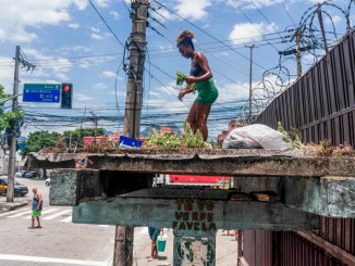 Jessica Tapre conserta um telhado verde em um ponto de ônibus em Benfica, Rio de Janeiro, Brasil. Foto: Ian Cheibub/NPR