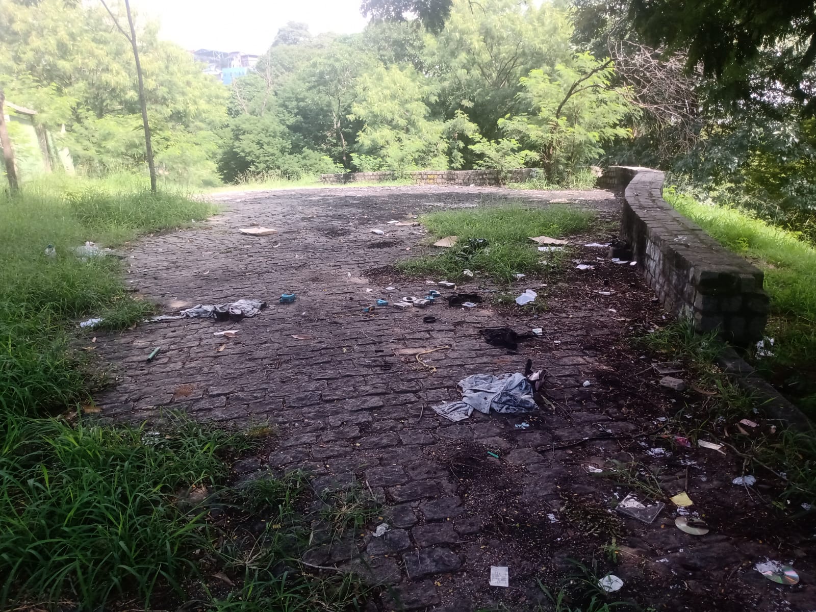 Descarte de lixo e falta de limpeza são cotidianos no Parque Ary Barroso. Foto: RioOnWatch Descarte de lixo e falta de limpeza são cotidianos no Parque Ary Barroso. Foto: RioOnWatch