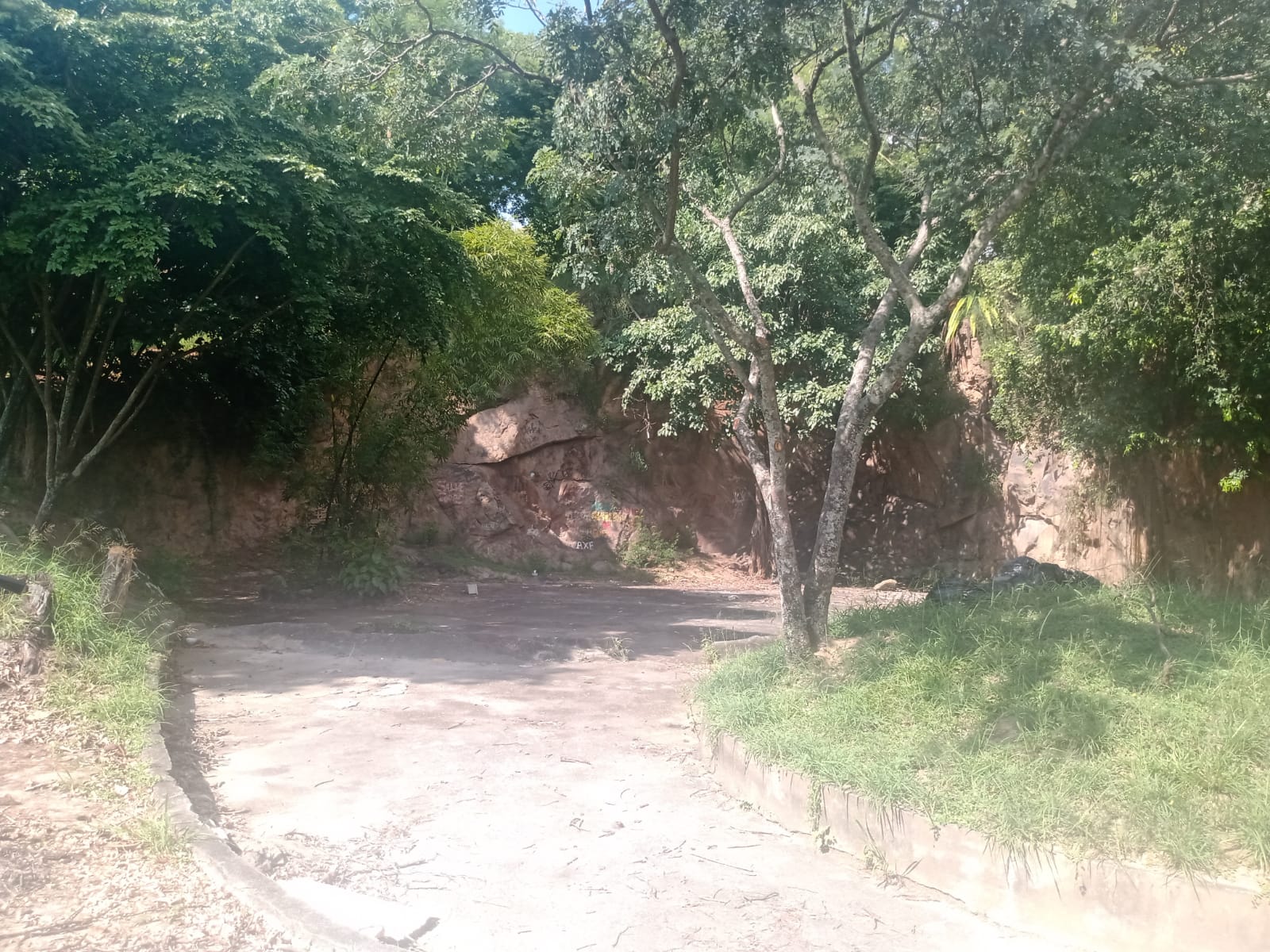Os lagos do Parque Ary Barroso que tinham peixes e até vitórias-régia desapareceram. Foto: RioOnWatch Os lagos do Parque Ary Barroso que tinham peixes e até vitórias-régia desapareceram. Foto: RioOnWatch