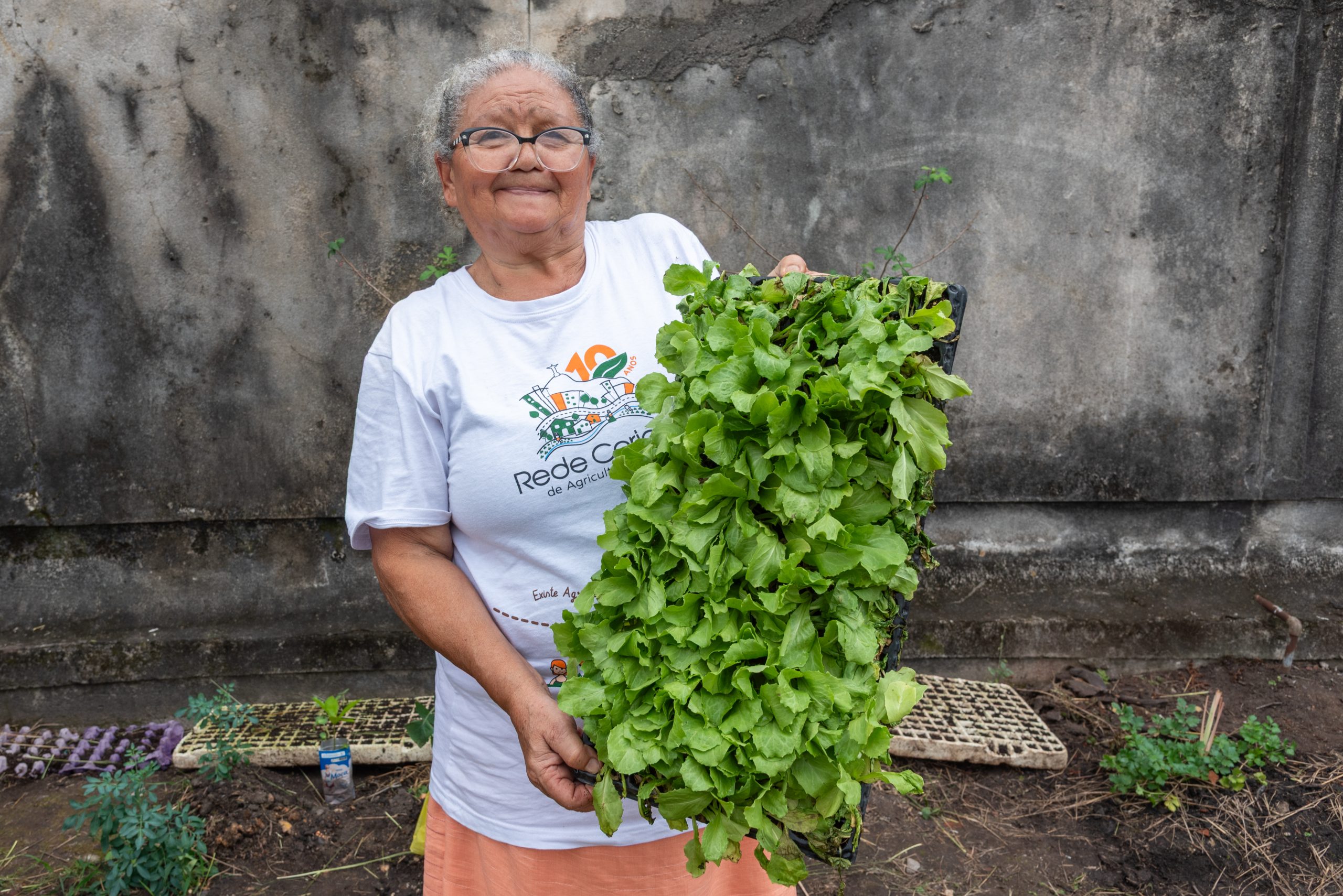 Dona Josefa Maria, educadora ambiental, agricultora agroecológica do Alemão, segura uma sementeira com mudas de alface. Foto: Bárbara Dias Dona Josefa Maria, educadora ambiental, agricultora agroecológica do Alemão, segura uma sementeira com mudas de alface. Foto: Bárbara Dias
