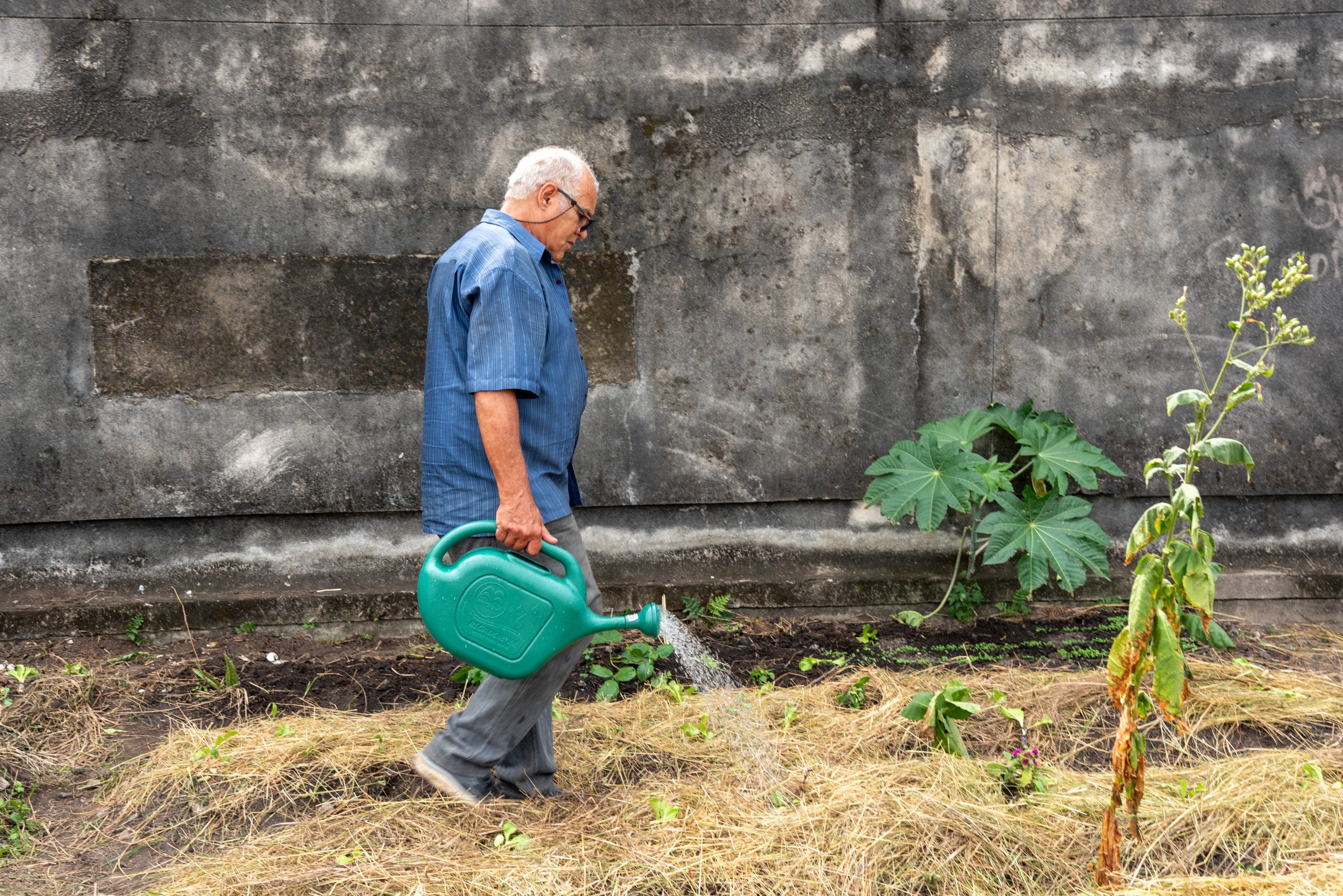 José Franklin da Silveira, cordelista e morador do Alemão, também integrante da Comissão do Meio Ambiente do Alemão, rega os canteiros revitalizados durante o mutirão na Horta Comunitária João Bosco. Foto: Bárbara Dias José Franklin da Silveira, cordelista e morador do Alemão, também integrante da Comissão do Meio Ambiente do Alemão, rega os canteiros revitalizados durante o mutirão na Horta Comunitária João Bosco. Foto: Bárbara Dias