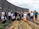 Parte dos participantes do Mutirão de Plantio da Dona Josefa, no Complexo do Alemão, ao final do trabalhos, que fez manutenção do espaço, construção de novos canteiros e plantio de aproximadamente 600 mudas de hortaliças. Foto: Bárbara Dias
