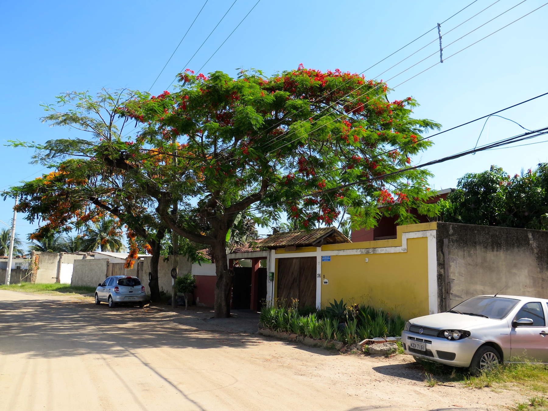 Uma das ruas principais da Vila Autódromo original, 2013. Foto: RioOnWatch Uma das ruas principais da Vila Autódromo original, 2013. Foto: RioOnWatch