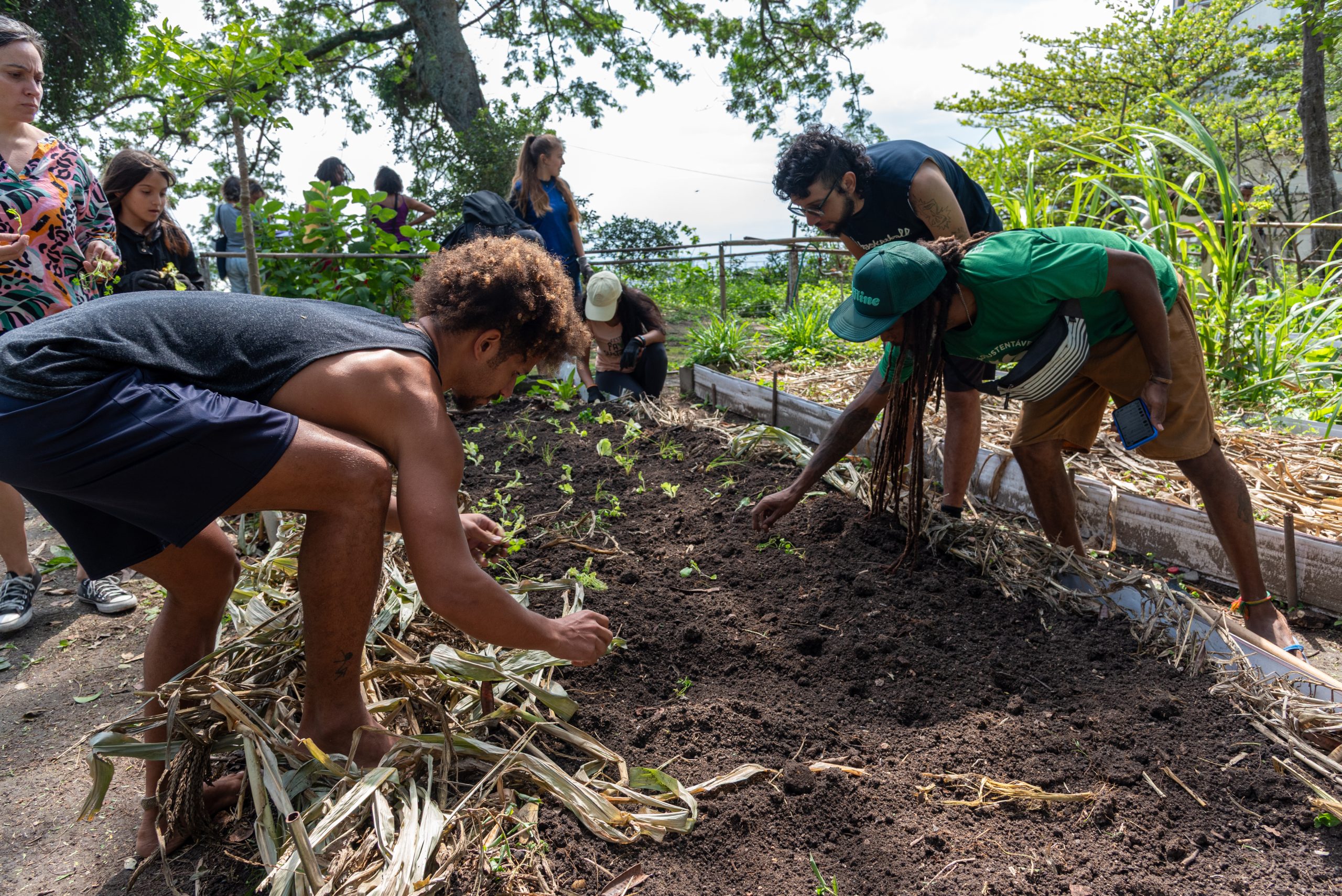 Participantes do mutirão ajudam no plantio de hortaliças em um dos canteiros da Horta dos Prazeres. Foto: Bárbara Dias Participantes do mutirão ajudam no plantio de hortaliças em um dos canteiros da Horta dos Prazeres. Foto: Bárbara Dias